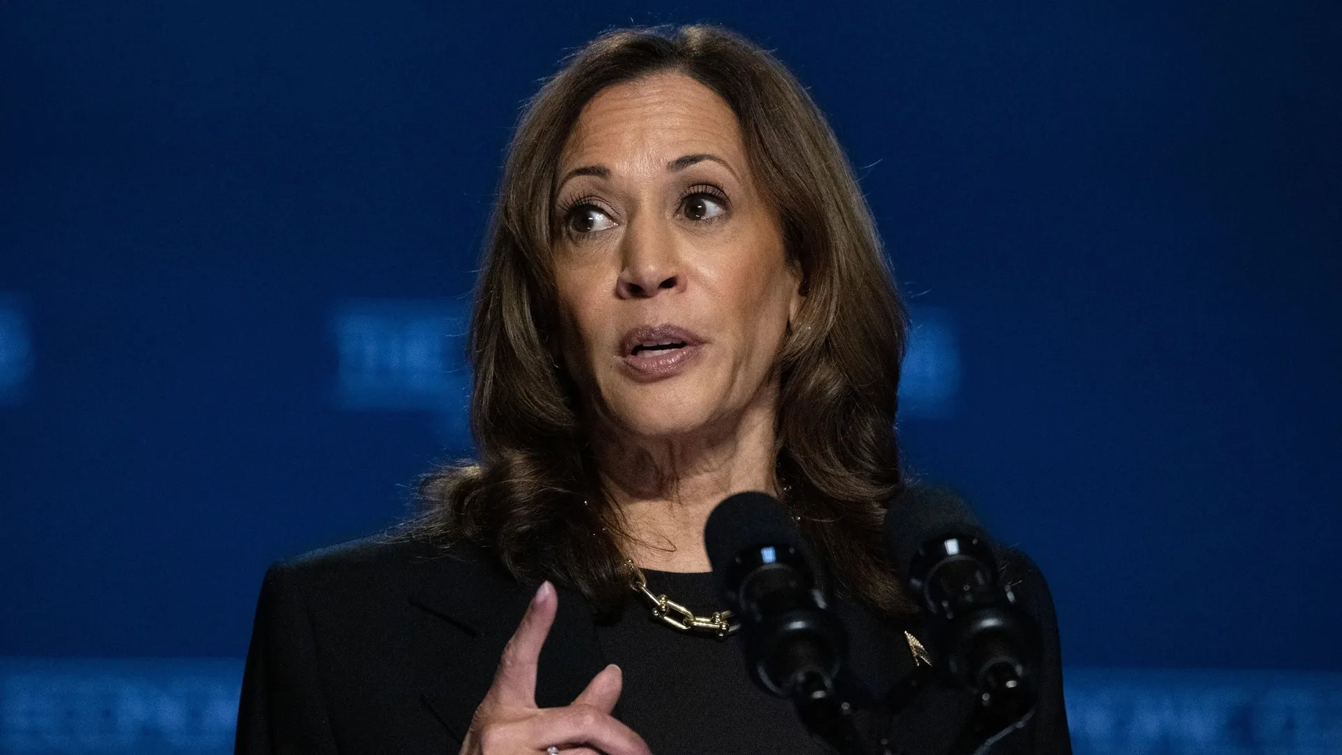 US Vice President Kamala Harris gives economic speech in Pittsburgh, USA - 25 Sep 2024