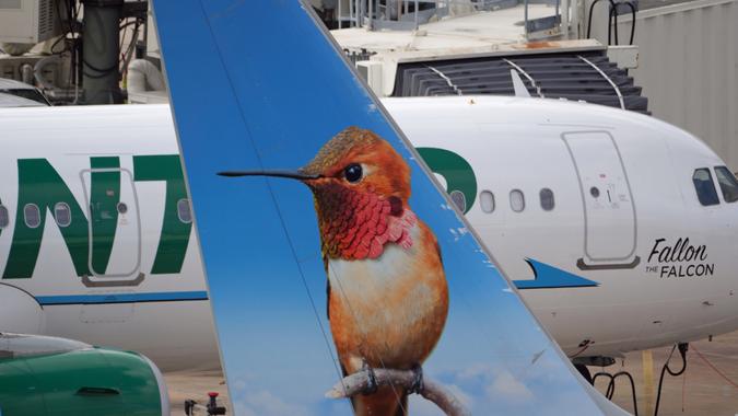 November, 2022, Tampa, FL - Cute Animal paintings in Frontier Airlines livery is eye catching such as the Hummingbird.