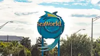 4 Things the Middle Class Can’t Afford at SeaWorld