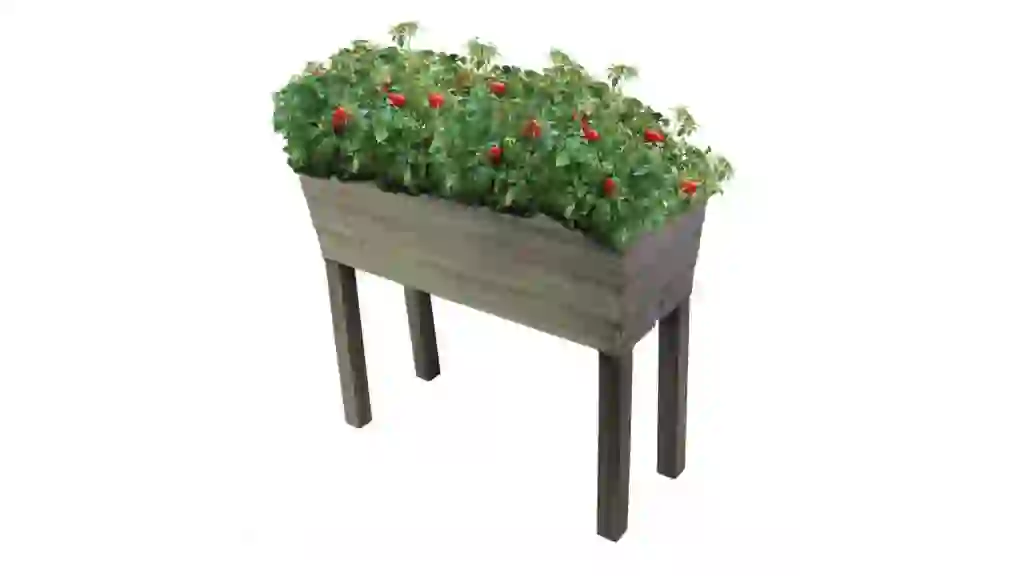 garden bed