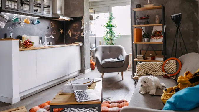 Cute Maltese dog lying on sofa in modern apartment and waiting for owner.