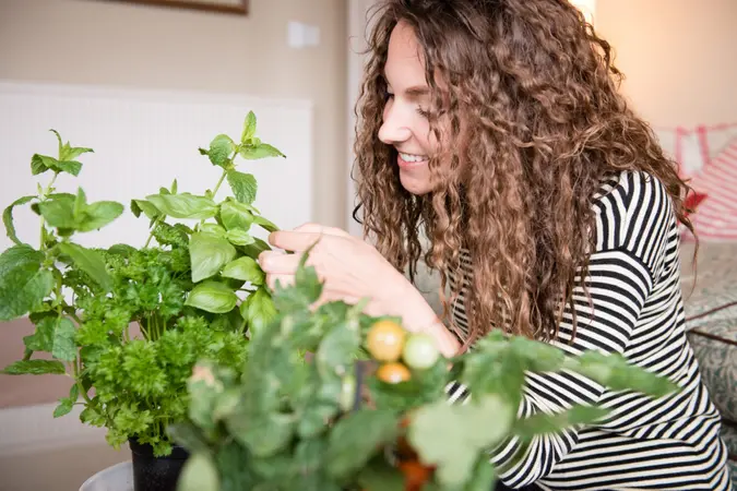 Happy young woman looking after her indoor garden - mint, basil, parsley, tomatoes.