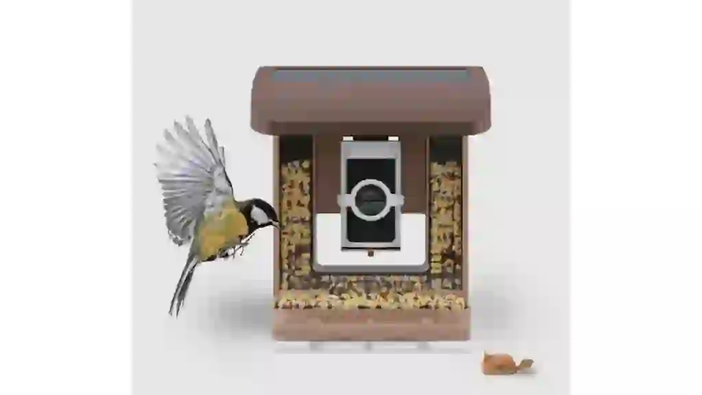 Wyze Bird Feeder