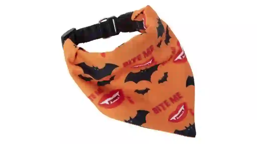 Halloween Pet Collar & Bandana Set