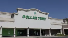6 Best Dollar Tree Christmas Items To Buy for Less Than $10 