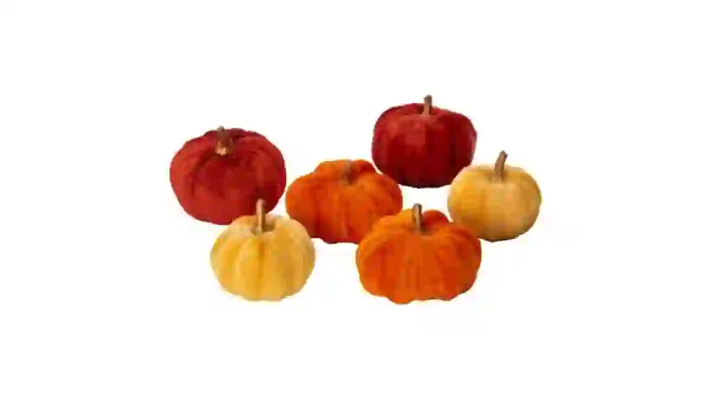 6-Count Mini Pumpkins