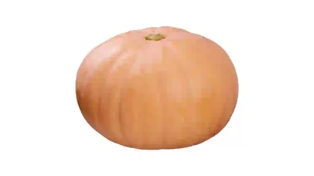Heirloom pumpkins
