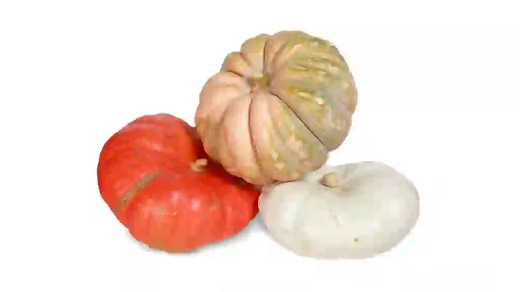 Fall Fantasy Pumpkin