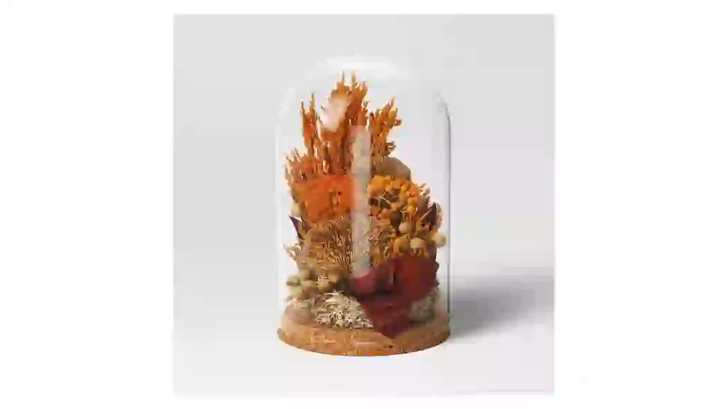 Threshold Large Preserved Fall Cloche Floral