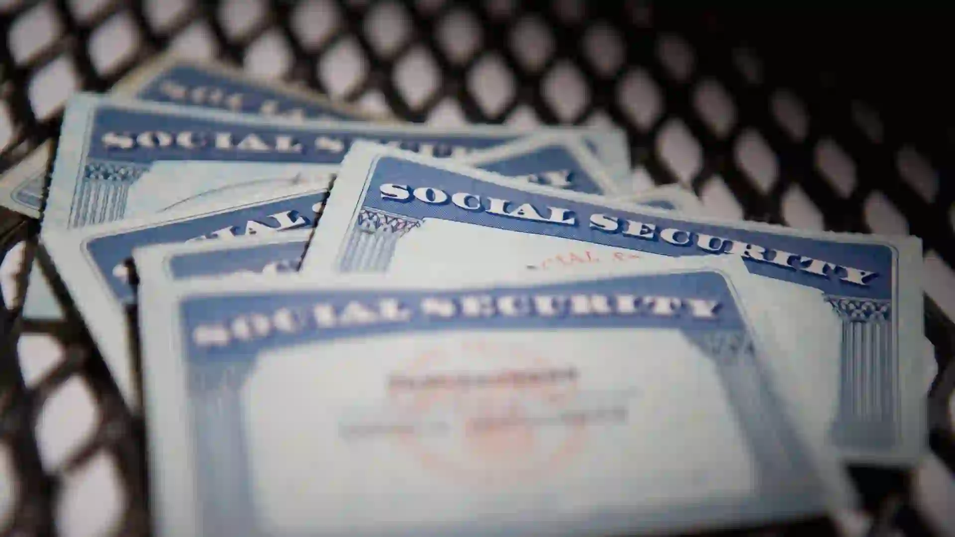 american culture, authority, chain-link fence, close-up, color image, group of objects, ideas, identity, indoors, nobody, photography, protection, safety, security, selective focus, social security card, text, western script, capital letter, horizontal