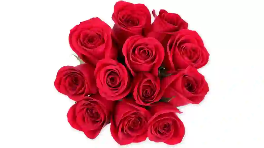 Dozen Red Roses