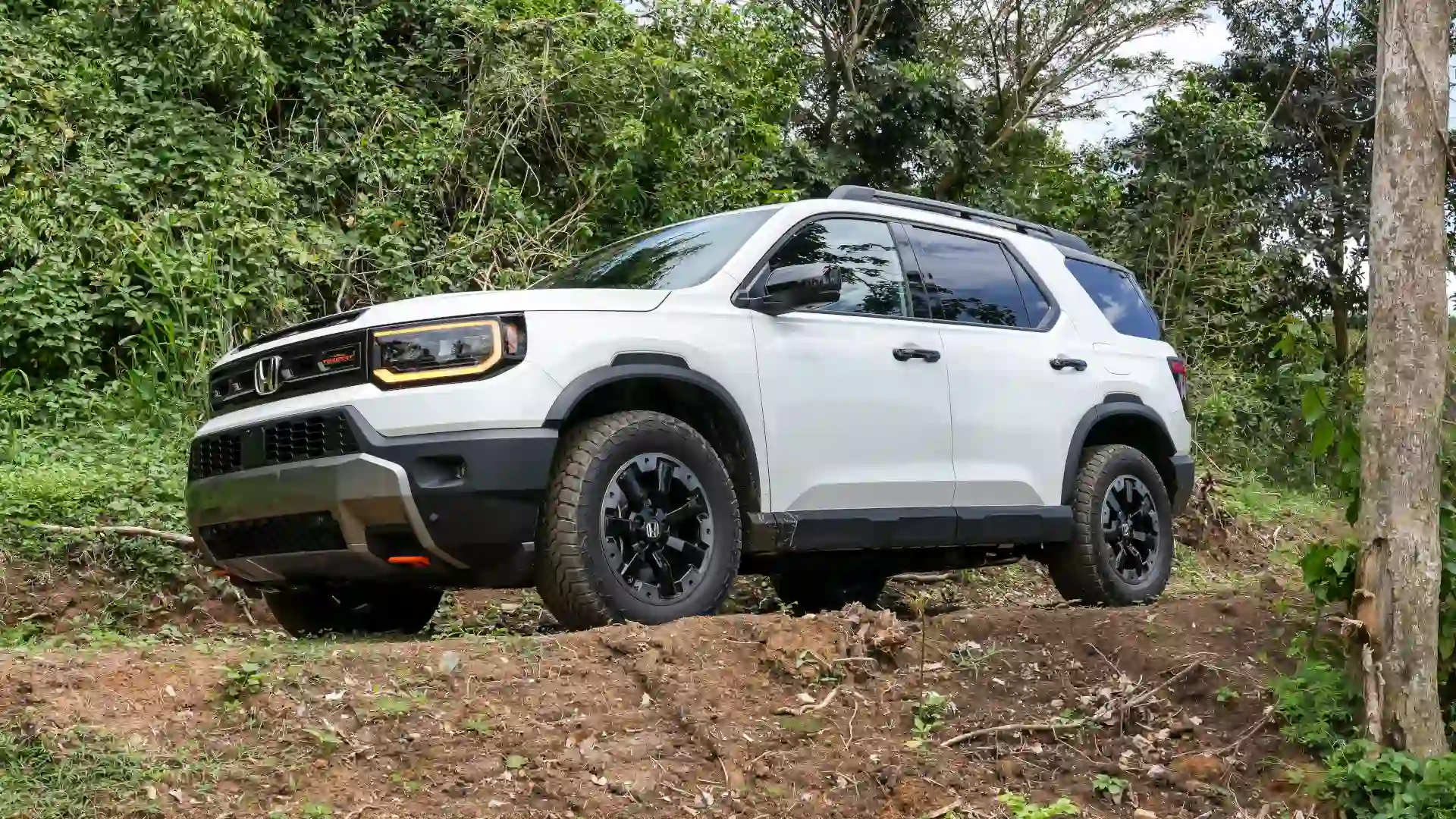 14 Family-Friendly New Cars Worth the Money in 2026