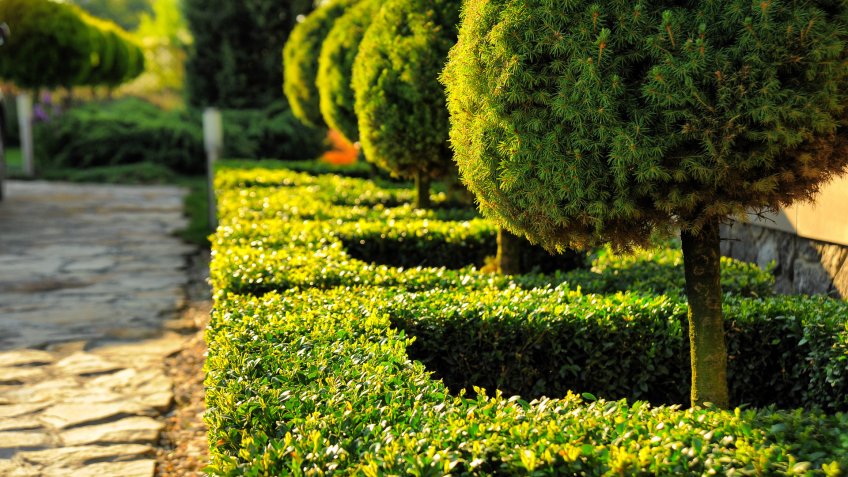 Liven Up the Landscape