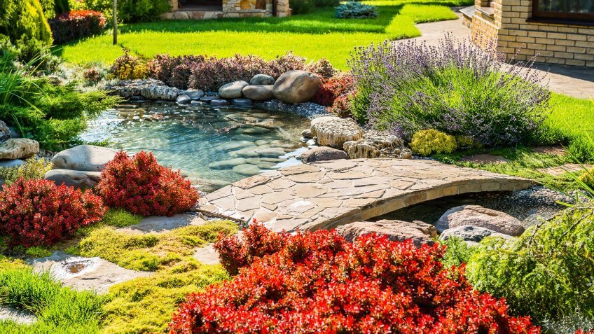 landscaped backyard