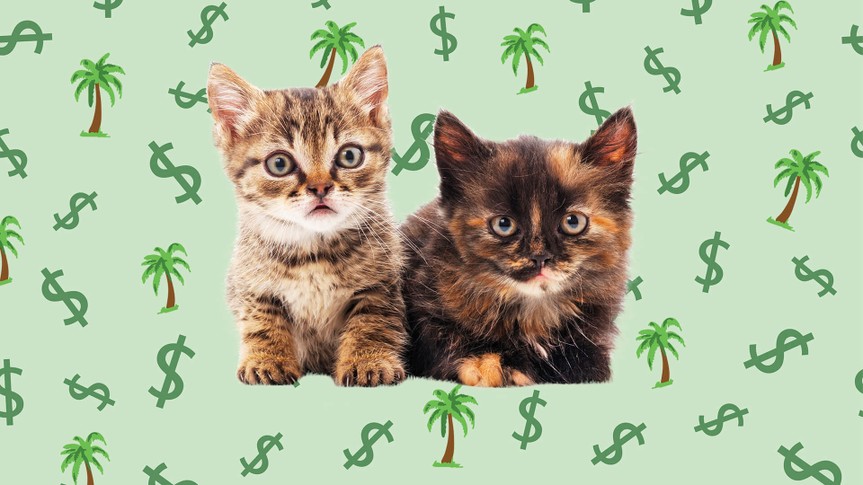 I Make $50,000 a Year in Hollywood — and This Is How I Spend It I Make $50,000 a Year in Hollywood — and This Is How I Spend It