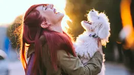 5 Pet Items Frugal Pet Owners Never Regret Splurging On