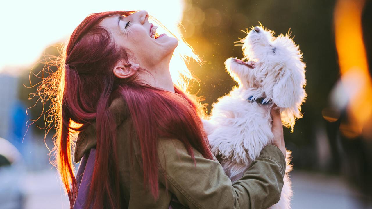 Attractive Redheaded Girl and White Puppy Smiling Together.