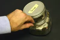 Reverse 401(k) Theft: What to Do If Your Boss Steals from You