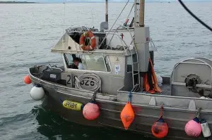 commercial fishing