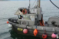 Need Work this Summer? Here Are 5 Off-Beat Temp Jobs that Pay Well, Too