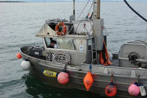 commercial fishing