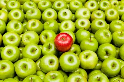 financial personality assessment