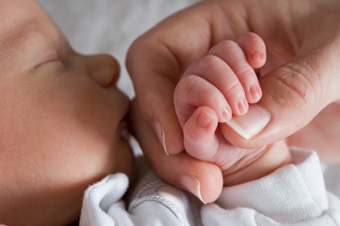 New Child Tax Exemption New Child Tax Exemption